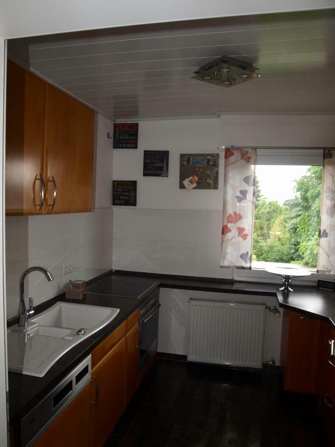 Sc Apartment - Nuernberg Messe / Fraenkisches Seenland شفاباخ المظهر الخارجي الصورة
